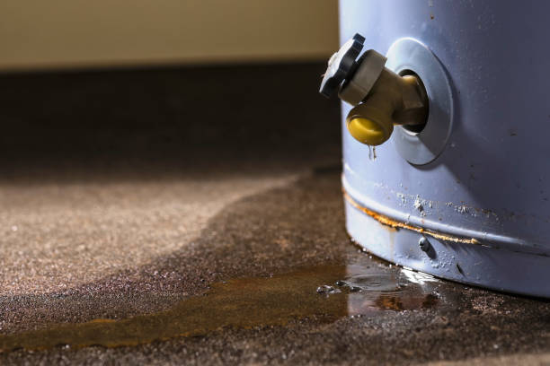 Best Sewage cleanup and water damage restoration  in Osceola, MO