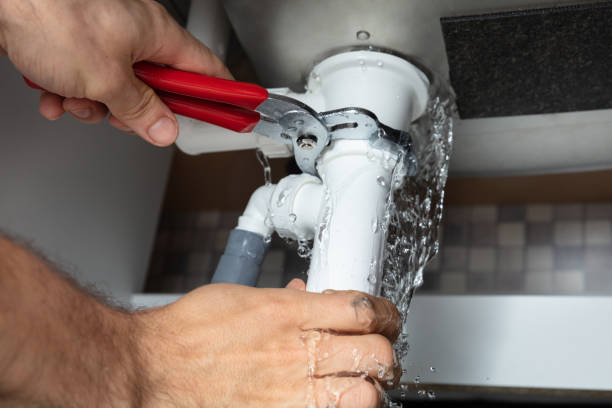 Best Flooded house restoration  in Osceola, MO
