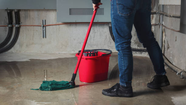 Best Flood damage cleanup  in Osceola, MO