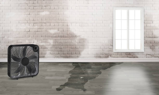 Best Emergency water damage restoration  in Osceola, MO