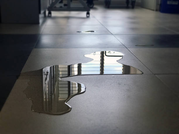 Best 24/7 water damage repair  in Osceola, MO