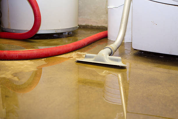 Best Emergency water extraction  in Osceola, MO