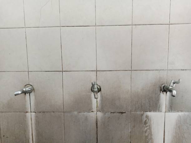 Best Ceiling water damage repair  in Osceola, MO