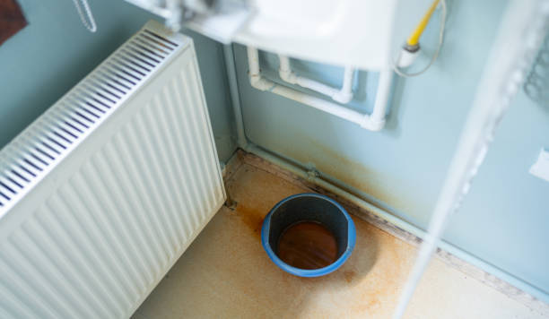 Best Water damage restoration near me  in Osceola, MO