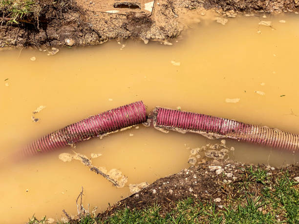 Best Commercial water damage restoration  in Osceola, MO