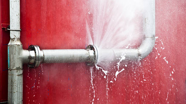 Best Fire Damage Restoration  in Osceola, MO